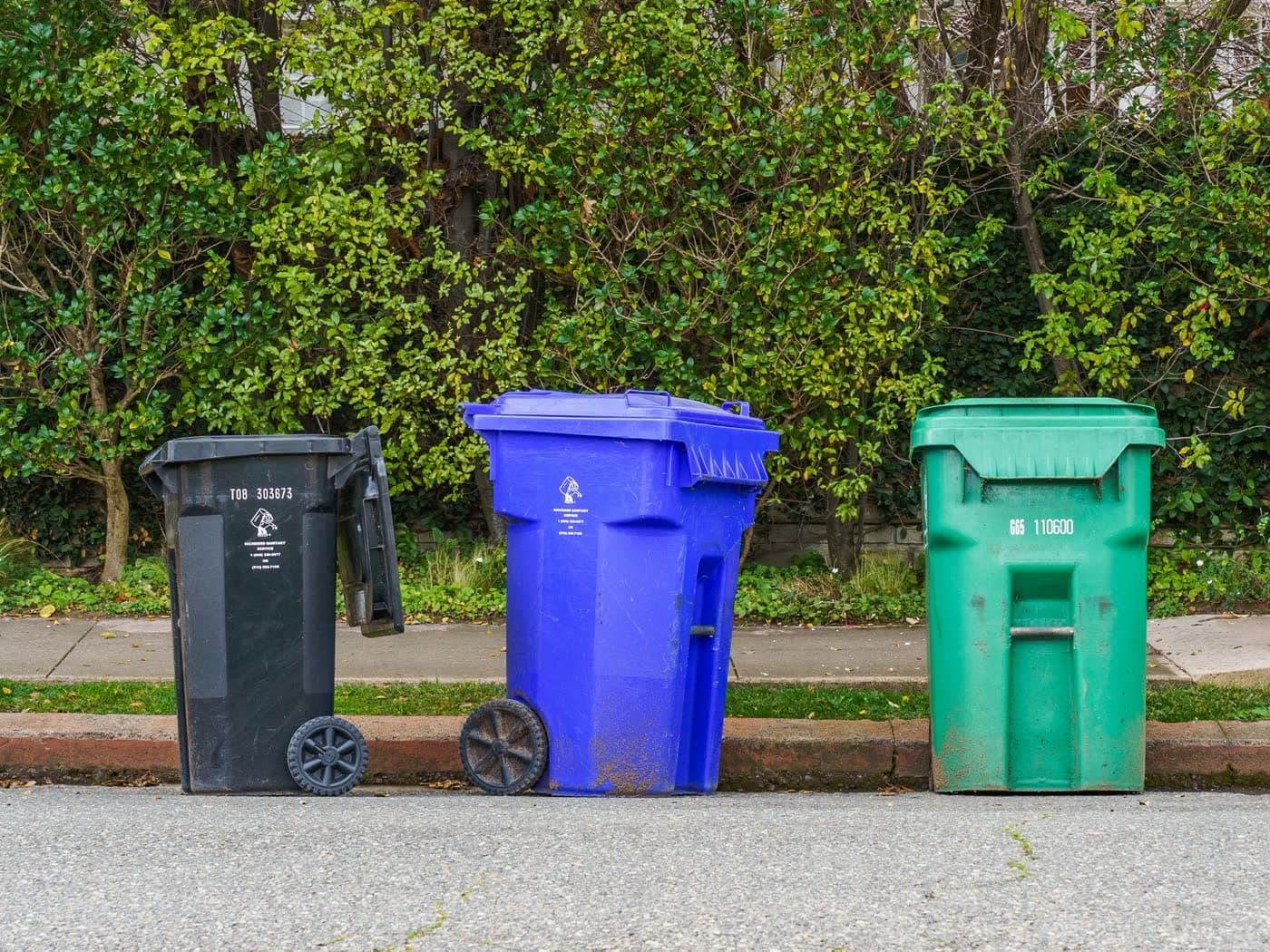 Curbside garbage and recycling bins on a residential street